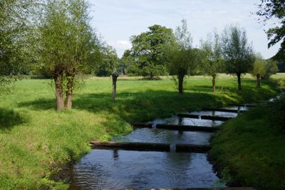 Water flow