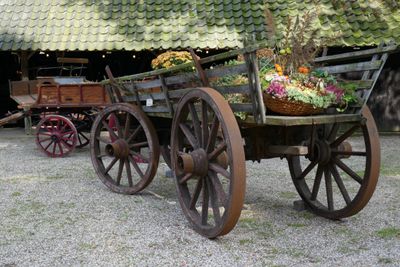 Harvest