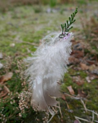 Tutu