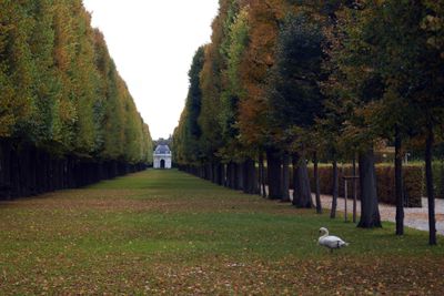 Park