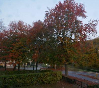 View from my window