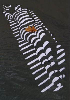 Leaf