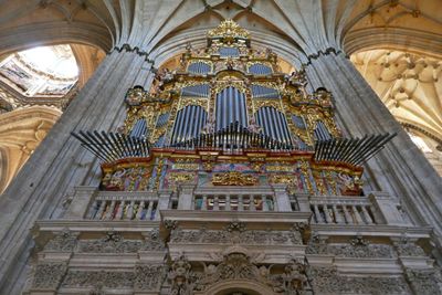 Organ