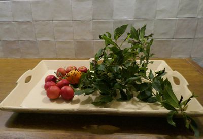 Winter herbs