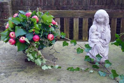 Winter apples
