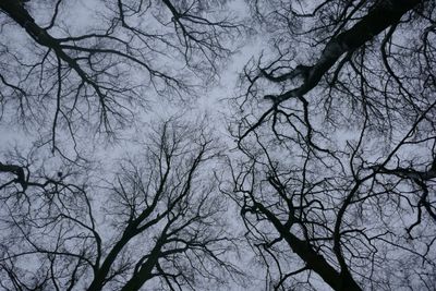 Crowns