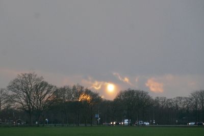 Winter sun