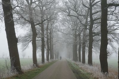 In the fog
