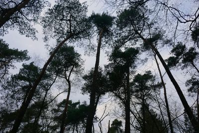 Towering