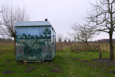 Shed