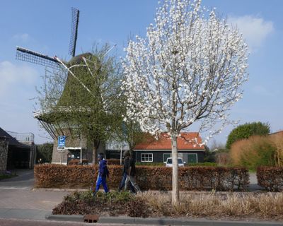 Street scape