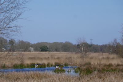 Landing