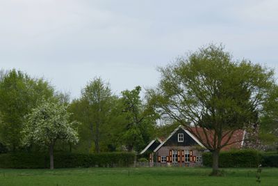 Farm