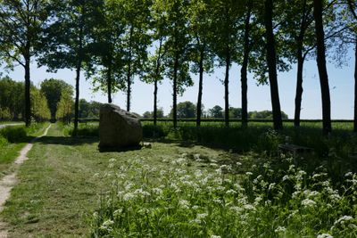 The stone