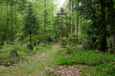Waldfriedhof