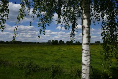 Beautiful May
