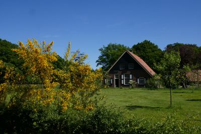 Picturesque