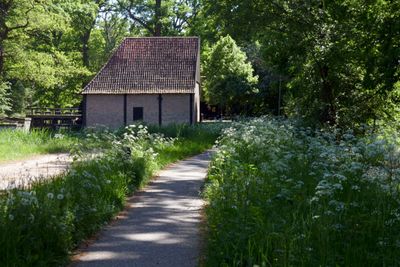 The old mill