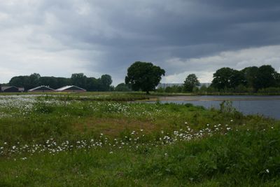 Dutch skies