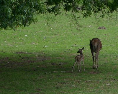 Just born