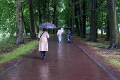 Rainy days
