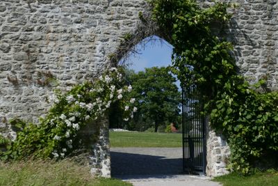 Gate