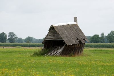 Photo a day gallery
