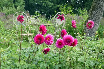Beautiful August
