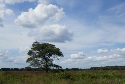 Clouds above the moor
