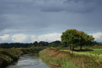 Gale force wind