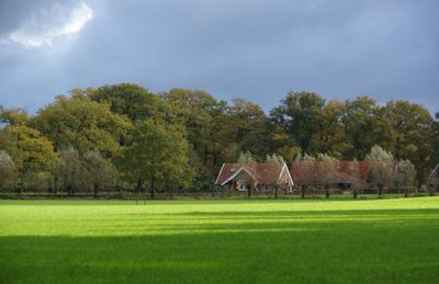 The month in between