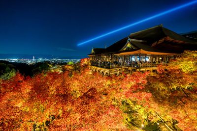 Kyoto Fall Foliage 2023