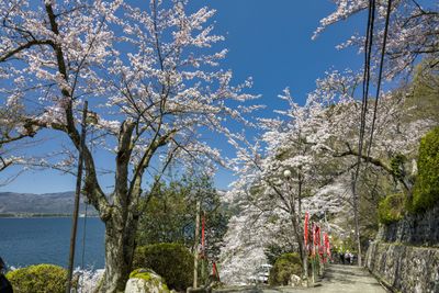 g13/22/546822/3/174528875.4ca36aee.JPEG