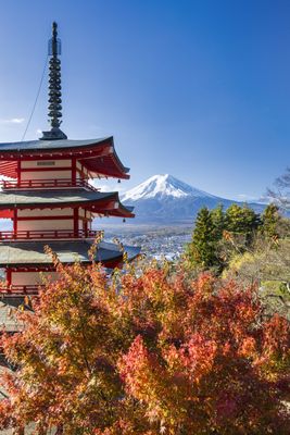 Fujisan 2024