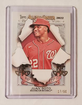 ginter_173625.jpg