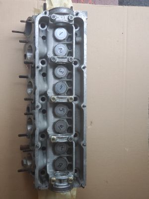 20240730_190127.jpg