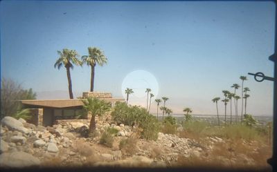 lv2024joshuatree