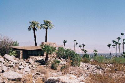 21424_04.jpg