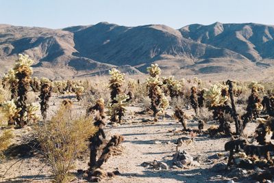 21424_18.jpg