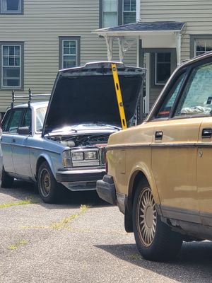 20250706_125235.jpg
