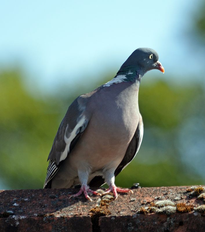 d800_103.jpg