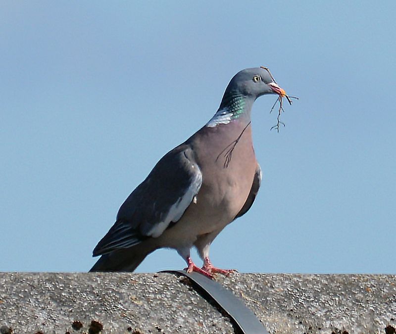 d800_105.jpg