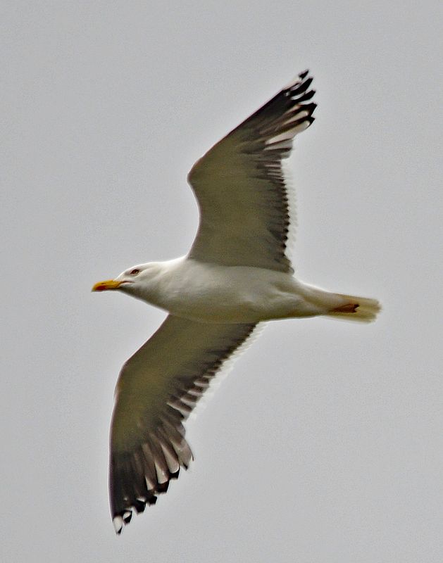 s150_104.jpg