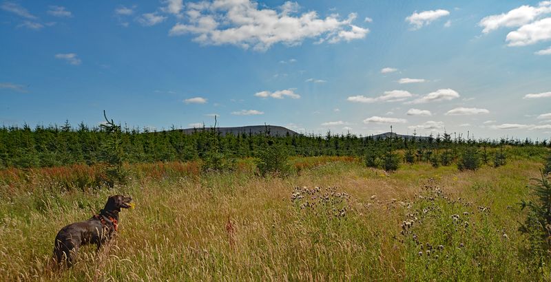 s12_24_102.jpg