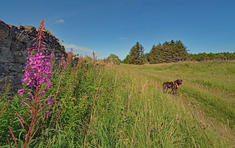s12_24_103.jpg