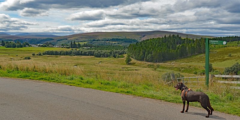 tt211.jpg