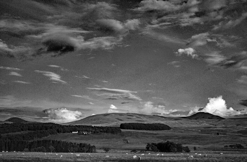 v202bw.jpg
