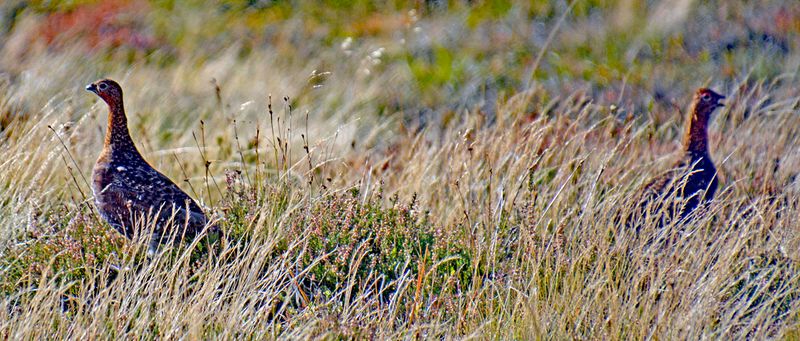 t16_300_502.jpg