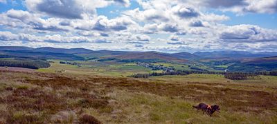 tamron_16_300