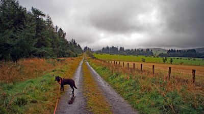 Olympus 15mm F8